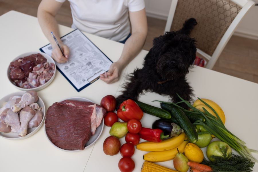 Diabetic Dog Diet